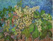 Vincent Van Gogh White Flowers with Blue Background oil painting picture wholesale